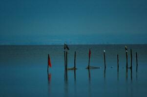 calme bleu paysage plus de le polonais baltique mer avec poisson filets et cormorans séance sur leur photo