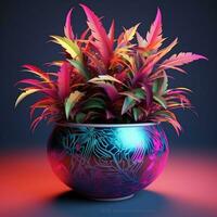 brillant Couleur ornemental les plantes dans le pot photo