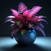 brillant Couleur ornemental les plantes dans le pot photo