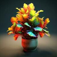 brillant Couleur ornemental les plantes dans le pot photo