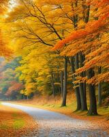 photo route est entouré par des arbres avec coloré feuilles pendant tomber généré par ai