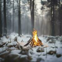 crépuscule dans le forêt. neige autour et seulement feu de camp laisse survivre dure temps, génératif ai photo