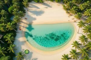 aérien vue de magnifique tropical plage et mer avec noix de coco paume arbre. ai génératif photo