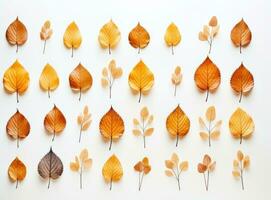 collection de feuilles d'automne photo