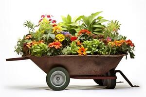 brouette rempli avec mis en pot les plantes prêt pour plantation, une jardinage scène avec divers flore. ai génératif photo