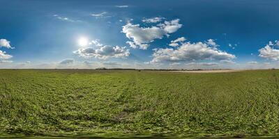 sphérique 360 hdri panorama parmi vert herbe agriculture champ avec des nuages sur bleu ciel avec Soleil dans équirectangulaire sans couture projection, utilisation comme ciel remplacement, Jeu développement comme skybox ou vr contenu photo