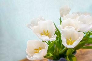 blanc tulipe sur une bleu Contexte photo