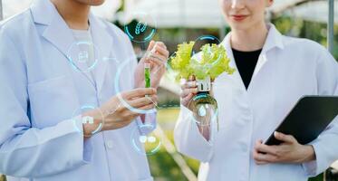 chercheur équipe dans blanc uniforme sont vérification avec ph bandes dans hydroponique ferme et ph niveau échelle graphique, science laboratoire serre concept. photo