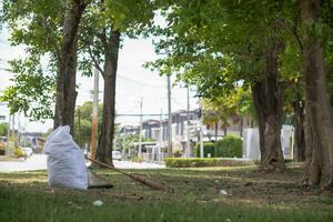 blanc sacs sont utilisé à contenir mort feuilles cette avoir déchue de façon saisonnière dans printemps comme façon à nettoyer parc et mélanger feuilles à faire compost. noix de coco balai est assis suivant à poudre scoop et sac pour sec feuilles. photo