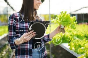 intelligent agriculteur en utilisant application par tablette concepts moderne des légumes et jardinage salade à serre. et visuel icône.smart agriculture photo