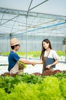 homme et femme travail sur salade plantation dans ferme en utilisant tablette et portable dans le serre photo