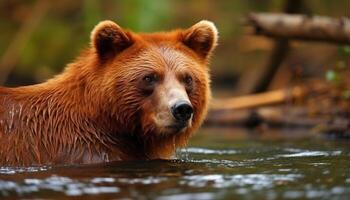 mignonne chien séance dans le forêt, à la recherche à caméra ludique généré par ai photo