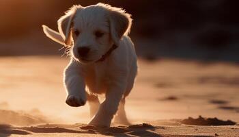 mignonne chiot en jouant dans le sable, profiter le été lumière du soleil généré par ai photo