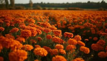 vibrant fleurs sauvages fleur dans une prairie, mettant en valeur la nature beauté généré par ai photo