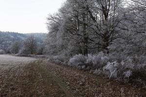 belle campagne hivernale enneigée de conte de fées en bohème centrale, république tchèque photo