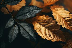 proche en haut de magnifique l'automne feuilles avec l'eau gouttes. Naturel Contexte ai généré photo