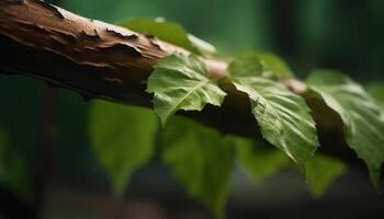 Frais vert feuilles sur une arbre branche dans une vibrant forêt généré par ai photo