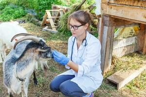jeune femme vétérinaire avec ordinateur tablette examinant la chèvre sur fond de ranch. un médecin vétérinaire vérifie la chèvre dans une ferme écologique naturelle. concept de soins aux animaux et d'élevage écologique. photo