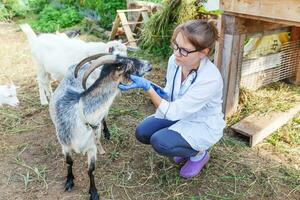 jeune femme vétérinaire avec ordinateur tablette examinant la chèvre sur fond de ranch. un médecin vétérinaire vérifie la chèvre dans une ferme écologique naturelle. concept de soins aux animaux et d'élevage écologique. photo