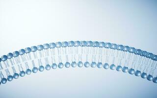 transparent cytomembrane structure, 3d le rendu. photo