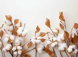 coton et feuilles sur blanc Contexte plat allonger style photo