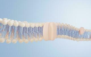 cellule membrane structure arrière-plan, 3d le rendu. photo