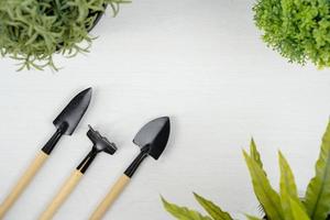 outils de jardinage et petit arbre artificiel sur fond blanc. concept de travaux de jardin. photo