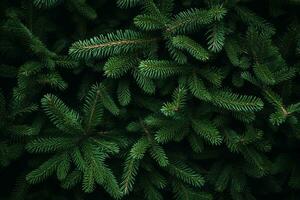 Frais vert branches de une Noël arbre. de fête Noël Contexte. ai génératif photo