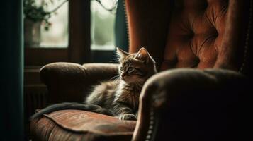 chaton somnoler dans une confortable fauteuil sur un l'automne journée. ai génératif photo