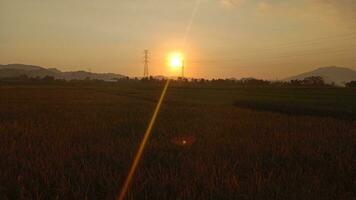 vue de riz des champs et Montagne photo