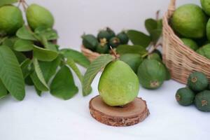 Frais goyave fruit dans une panier sur blanc Contexte. sélectif se concentrer. photo