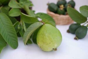 Frais goyave fruit dans une panier sur blanc Contexte. sélectif se concentrer. photo