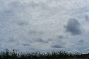 orage des nuages dans le ciel plus de une prairie dans le campagne. photo