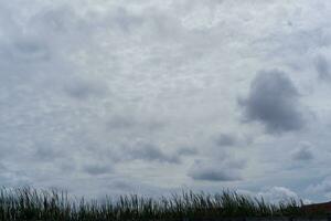 orage des nuages dans le ciel plus de une prairie dans le campagne. photo