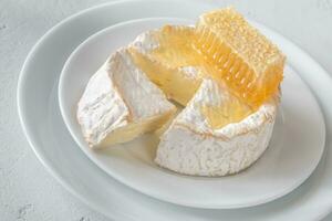 Camembert fromage avec nids d'abeille photo