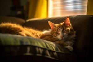 un Orange et blanc chat pose sur une canapé génératif ai photo