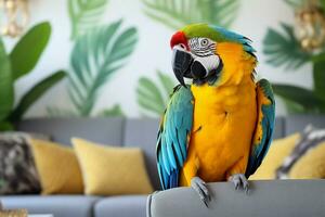 mignonne ara perroquet oiseau dans vivant chambre. ara perroquet oiseau avec marrant Regardez photo