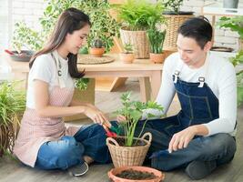 portrait jardinier Jeune asiatique homme femme deux la personne séance sol souriant à la recherche main en portant panier pot petit arbre feuille vert dans calme travail magasin Accueil plante blanc mur. loisir emploi content et se soucier concept photo