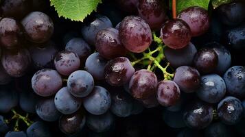 réaliste photo de une bouquet de les raisins. Haut vue fruit paysage. ai généré