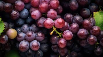 réaliste photo de une bouquet de les raisins. Haut vue fruit paysage. ai généré