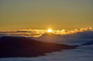 tropical mer le coucher du soleil arbre ciel vue Contexte photo