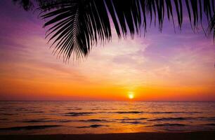 tropical mer le coucher du soleil arbre ciel vue Contexte photo