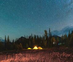 camping tente avec étoilé en dessous de le nuit ciel dans le forêt sur site de camp à nationale parc photo