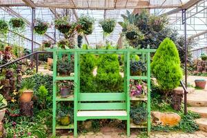 vert fauteuil ensemble jardin décorer photo