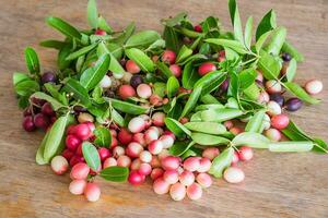 Carunda, Karonda, Carissa carandas, apocynacées, fruit rouge la graine nutritif photo