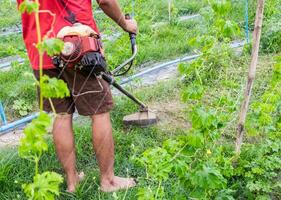 homme en utilisant pelouse tondeuse Coupe herbe dans jardin photo