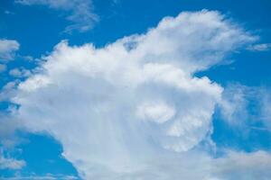 bleu ciel nuage imaginer chèvre klaxon rouleau photo