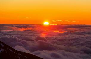 tropical mer le coucher du soleil arbre ciel vue Contexte photo