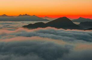 tropical mer le coucher du soleil arbre ciel vue Contexte photo