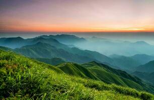 tropical mer le coucher du soleil arbre ciel vue Contexte photo